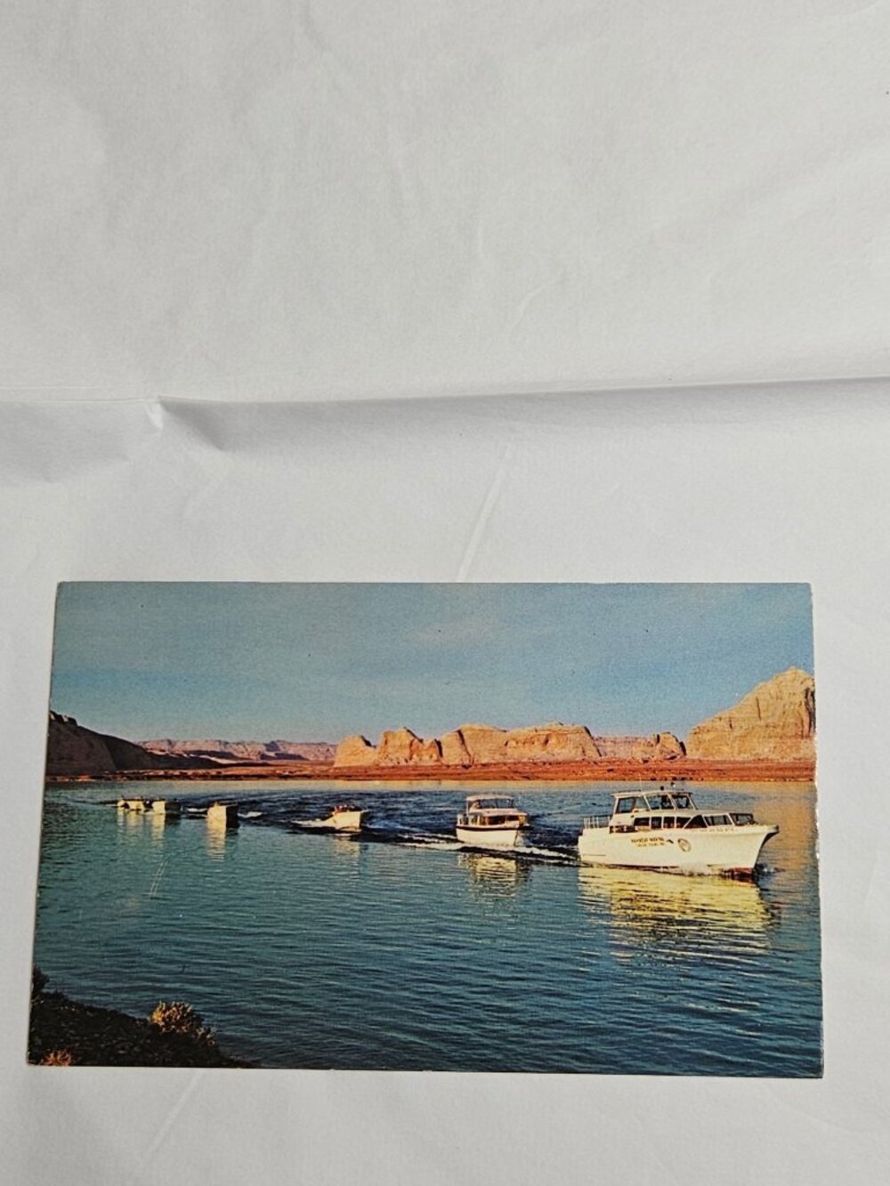Lake Powell Page Arizona Canyon Tours Inc Fleet Wahweap Marina Postcard